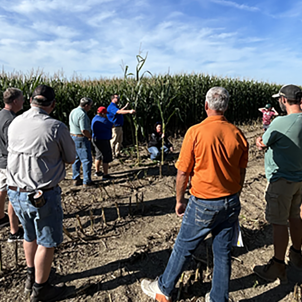 Dealey Chemicals Authorized Independent Agriculture Retailer